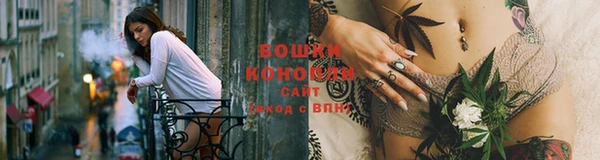 шишки Абдулино