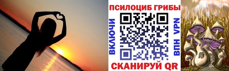 Галлюциногенные грибы мицелий  Адыгейск 